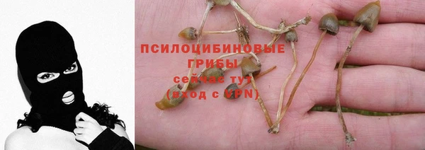 первитин Зерноград