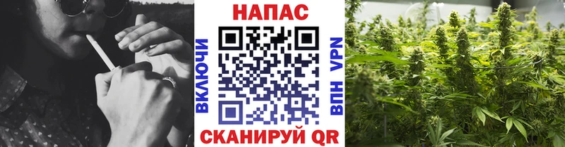 Канабис семена  Купить где  Болхов 